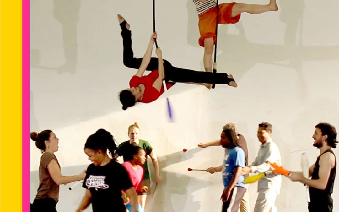 Flying Circus Academy