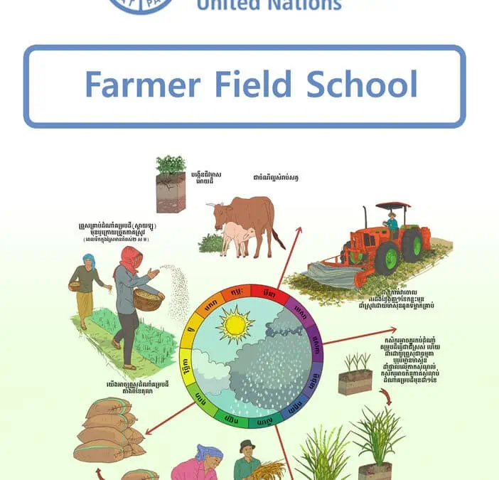 FARMER FIELD SCHOOL, FAO